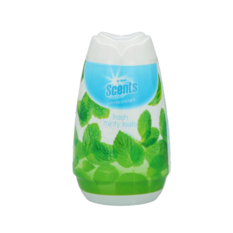 AT HOME LUCHTVERFRISSER 180G MUNT